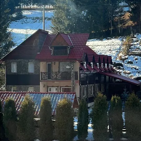 Vila Speranța Arieseni-2